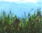 Summer meadows 73x92 cm